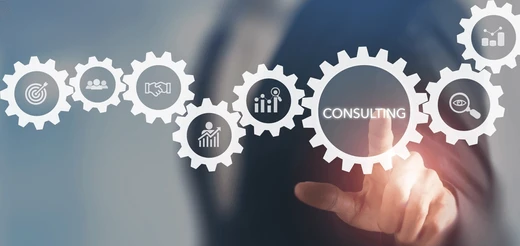 IT Consulting and Support
